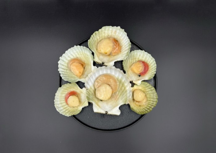 Морской гребешок на половине створке